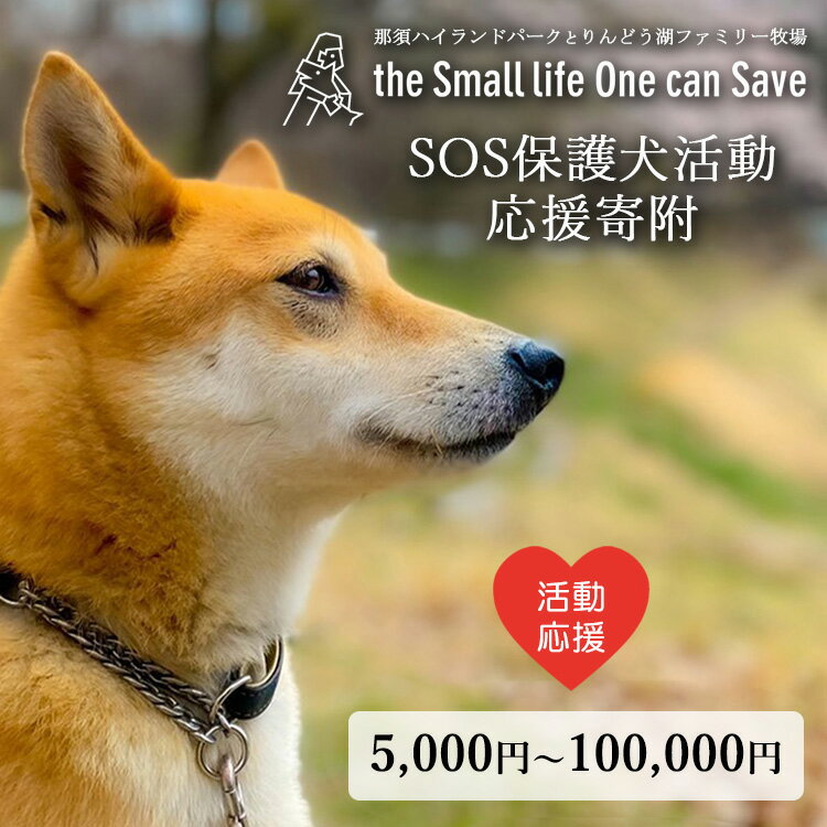 【ふるさと納税】【選べる金額】那須ハイ＆りんどう湖　SOS保護犬活動　お礼品なし｜保護犬 支援 動物愛護 応援 地域応援 愛犬 愛犬家 動物 ペット 社会貢献 保護活動 那須 栃木県 那須町