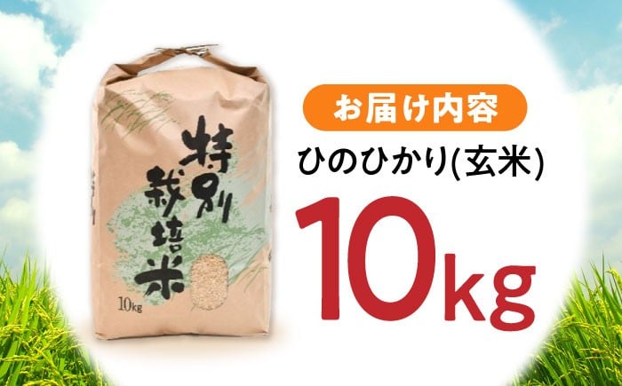 「ひのひかり」 玄米 10kg 米 おこめ お米 こめ げんまい ヒノヒカリ 長崎県産