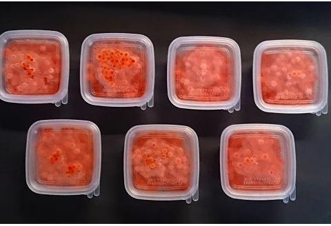 1パック60gに小分けした便利な使いきりパックです。