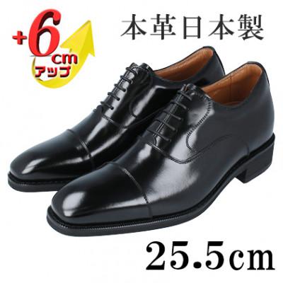 ふるさと納税 大和郡山市 牛革内羽根ストレートチップ 6cmアップシークレットシューズ No.1301 黒 25.5cm