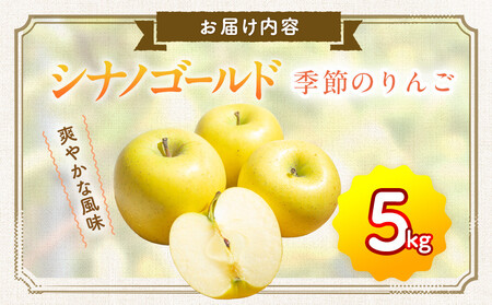 季節のりんご『 シナノゴールド 』（５ｋｇ）（予約制）（ シナノゴールド  林檎 ）