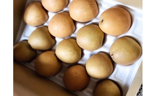 
                  訳あり 小玉 《ご家庭用》 王秋梨5kg
                