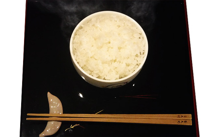 お米 令和7年産 ぴかまる 5kg 無農薬 お米