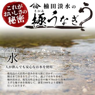 【ギフト対応】楠田の極うなぎ　蒲焼き170ｇ以上×3尾(510ｇ以上） b2-018