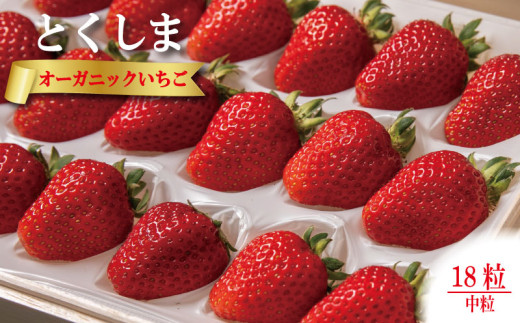 オーガニック いちご 中粒 約18粒 《1月末から5月発送》 有機JAS認証 ORGANIC 甘い 苺 イチゴ 果物 フルーツ 産地直送 新鮮 ストロベリー ジャム スムージー 期間限定 徳島 無農薬 完全無農薬 人気 ギフト プレゼント 贈答用 ケーキ スイーツ