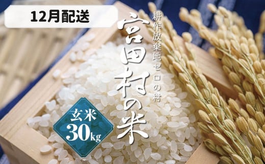 【予約受付】【令和６年米】【新米】長野県産　減農薬栽培コシヒカリ／玄米／30kg・23,000円／12月配送