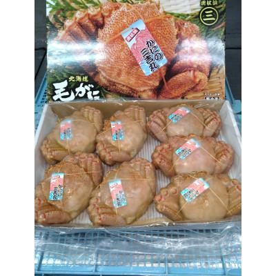 ふるさと納税 白老町 北海道産ボイル毛ガニ 約4kg(540g〜580g前後×7尾)×1箱 冷凍発送