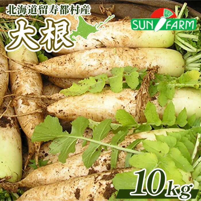 【ふるさと納税】大根 10kg だいこん ダイコン オンライン 申請 ふるさと納税 北海道 留寿都 野菜 根菜 産地直送 新鮮 採れたて 大根おろし サラダ 切干大根 漬物 汁物 ビタミン 10キロ 留寿都村【24009】