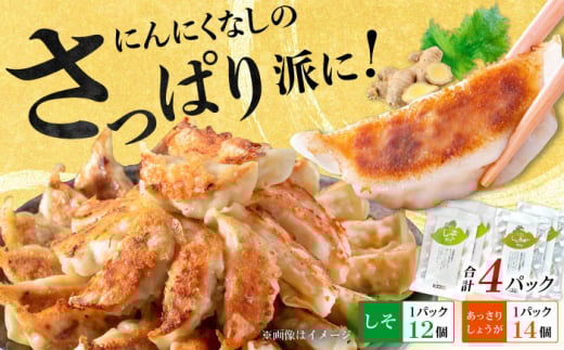 【さっぱり！しそ＆しょうが派×2パック】餃子2種セット！【餃子屋ヒロ】開成町 餃子 点心 惣菜 冷凍 [BDAS008-4]
