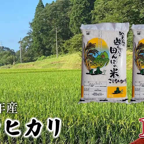 コシヒカリ 白米 令和7年 千葉県産 コシヒカリ【10kg】