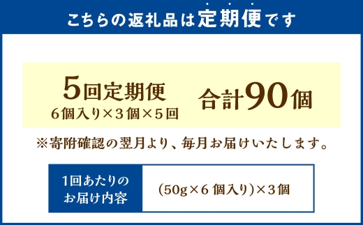 【5回定期便】 北海道ミニフロマージュ （アップル） 約900g×5回 合計約4.5kg ミニフロマージュ フロマージュ チーズケーキ ケーキ スイーツ 洋菓子 冷凍 北海道 小樽市