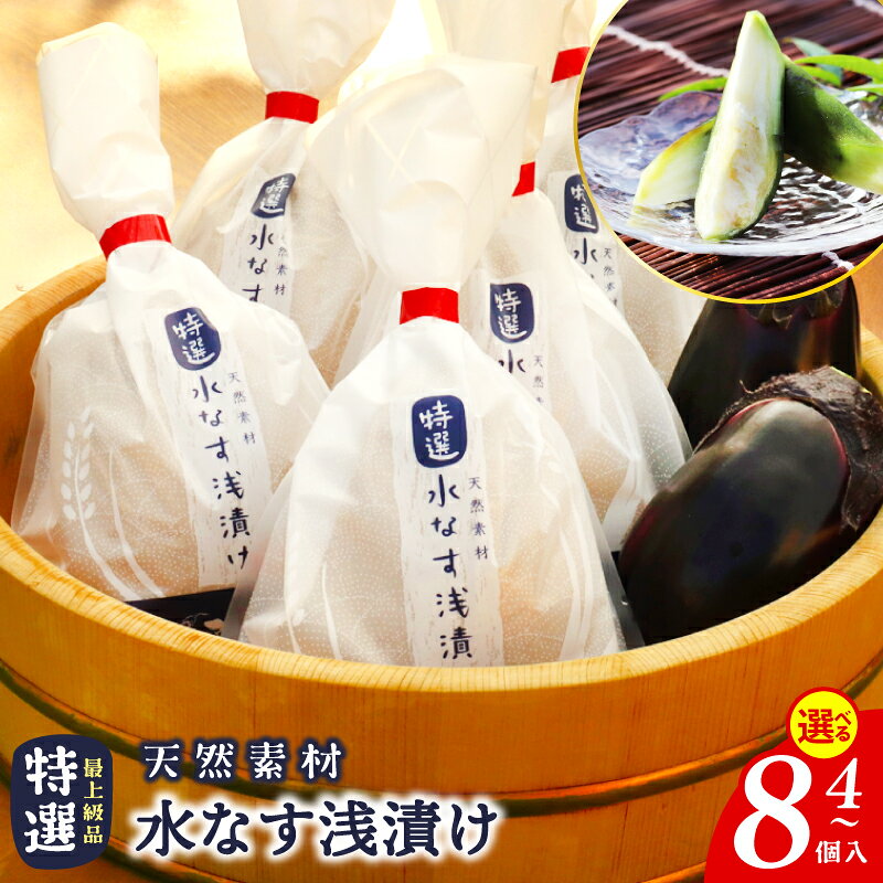 【ふるさと納税】特選最上級品水なす浅漬け 選べる 内容量 4個 / 6個 / 8個 特選 最上級品 泉州水なす 水なす 茄子 漬物 ぬか漬け 浅漬け 採れたて 新鮮 国産 野菜 保存料不使用 香料不使用 着色料不使用 色止め剤不使用 説明書付き お取り寄せ 大阪府 泉佐野市 送料無料