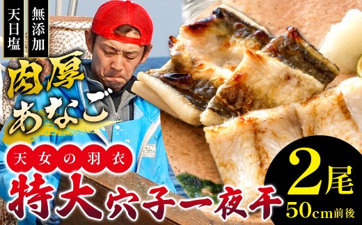 特厚 特大 穴子 一夜干し 2尾 50cm前後【国産 干物 魚介類 無添加 冷凍】
