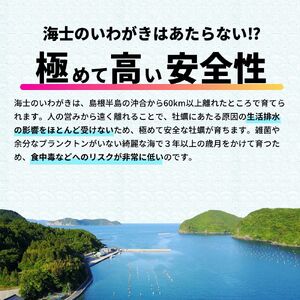 【お申し込みは5/17まで】【寄付額改定】いわがき春香 Sサイズ 3個｜海鮮 海産物 海の幸 シーフード 魚貝類 牡蠣 岩牡蠣 かき ブランド牡蠣 いわがき春香 生食 海士町