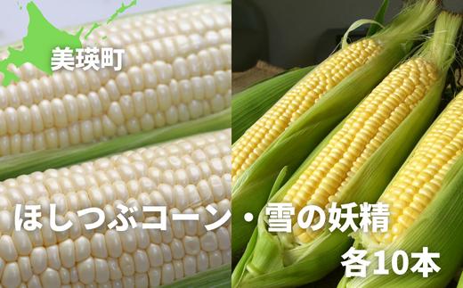 黒木農場　令和６年産　とうもろこし（ほしつぶコーン＆雪の妖精）各10本[020-51]