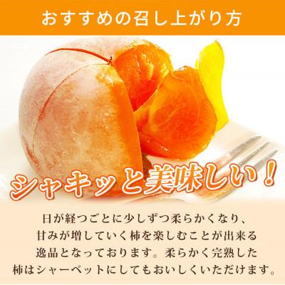 ふるさと納税 那智勝浦町 和歌山秋の味覚　平核無柿(ひらたねなしがき)　約4kg　化粧箱入 |  | 02
