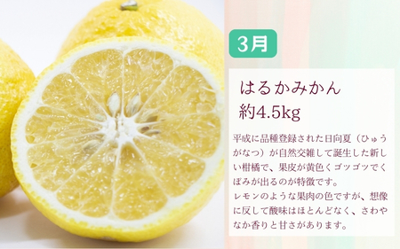 定期便全3回 【2月・3月・4月発送】 和歌山の春の柑橘 （ポンカン・はるか・ブラッドオレンジ）秀品【tec-tkb002】