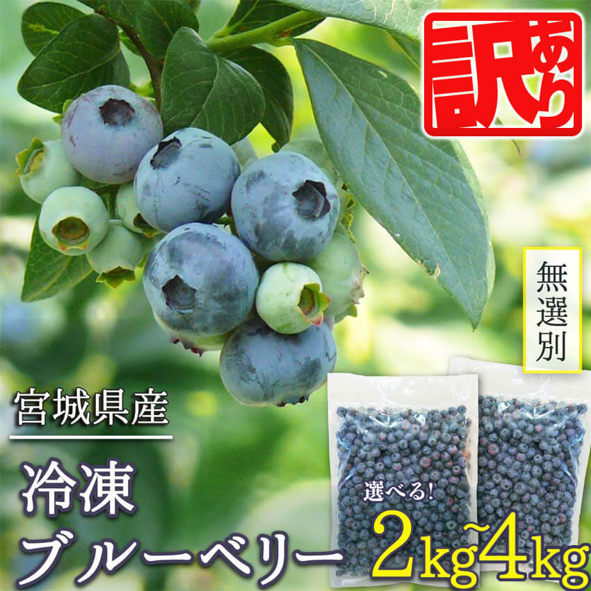【ふるさと納税】≪ 訳あり≫ 無選別 冷凍ブルーベリー 2kg～4kg 選べる内容量 ブルーベリー 果物 フルーツ 朝食 ヨーグルト スムージー 健康 訳アリ【有限会社伊豆沼農産】tm439・tm440