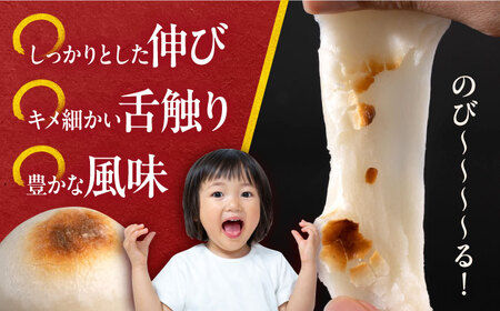 【先行予約】【訳あり】丸餅 6個入り×10パック 60個入り 大容量 もち 餅 【有限会社さかくら総本家】 [AKEI006]