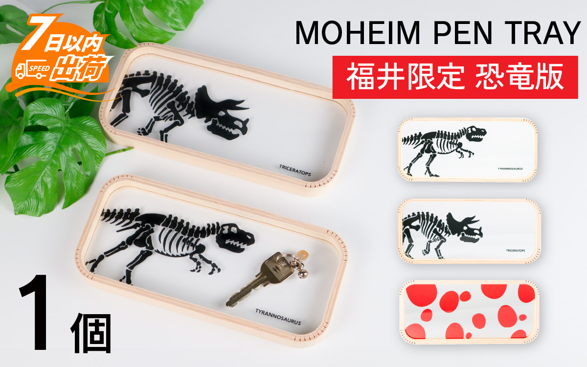 
MOHEIM PEN TRAY (TYRANNO, TRICERA, EGG)【ペントレイ アクリル 木 ペン おしゃれ デザイン 恐竜 インテリア 収納 雑貨】[A-053011]
