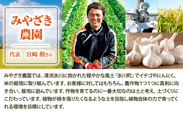冷凍いちご 約2kg みやざき農園《30日以内に出荷予定(土日祝除く)》熊本県 氷川町 いちご イチゴ ひのしずく 国産 冷凍いちご フルーツ ストロベリー 冷凍 お菓子作り 送料無料