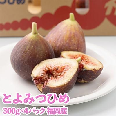 ふるさと納税 篠栗町 【先行受付】福岡限定!ブランドいちじく「とよみつひめ」約300g×4パック(篠栗町)