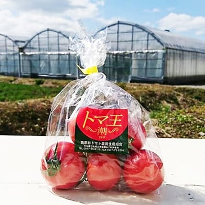 【糖度8度以上】あま〜いトマト「トマ王 潮」(約300g×5袋)【配送不可地域：離島】【1087105】