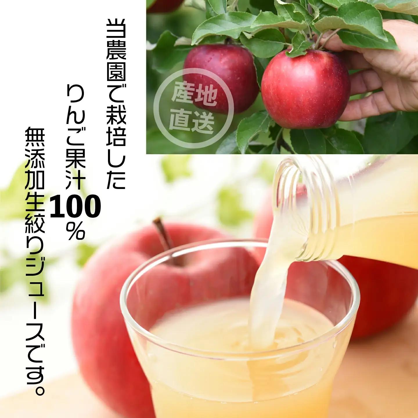無添加りんごジュース 雪越しの濃いしぼり 720ｍｌ １本 スッキリタイプミニ200ｍｌ ３本 ミックス箱 計４本 飲み比べ ギフト お土産【07208-0200】