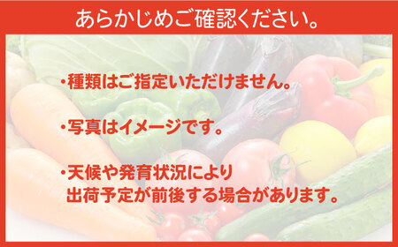 【6回定期便】直売所より発送！季節の野菜セット 7〜10品目 / 野菜定期便 / ながさき南部生産組合 [SBW004]