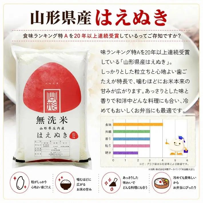 【定期便】無洗米はえぬき5kg×12ヶ月連続中旬発送 計60kg（9月～8月）[1543T09]