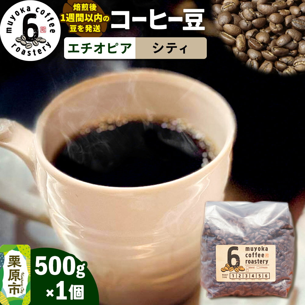 【ふるさと納税】コーヒー豆 エチオピア シティ 500g×1個
