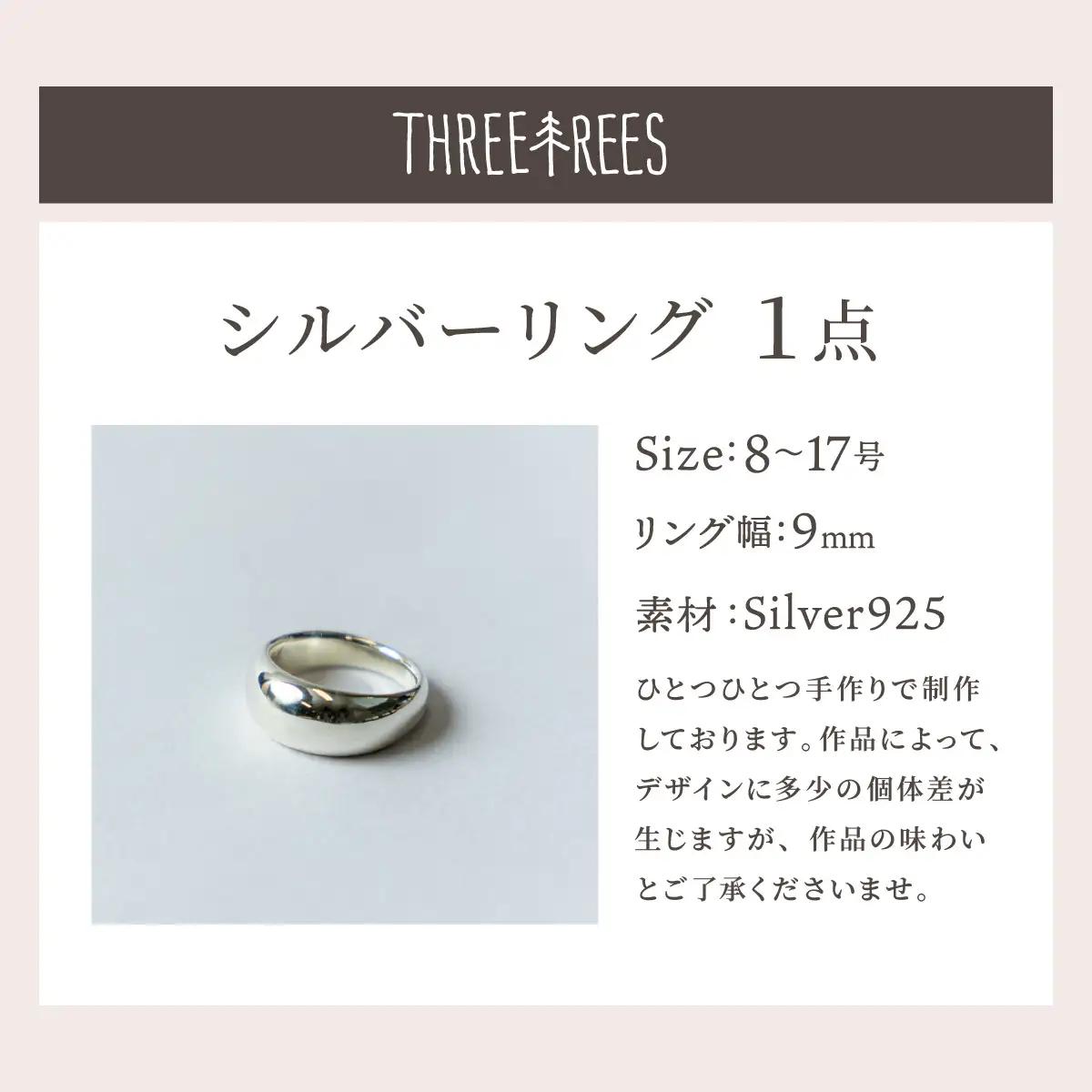 【日常のアクセントに】シルバーリング  LS-01  / マット / 17号