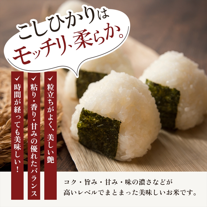 【6月上旬配送】上越市産 新潟 コシヒカリ 5kg こしひかり お米 精米 米 ご飯