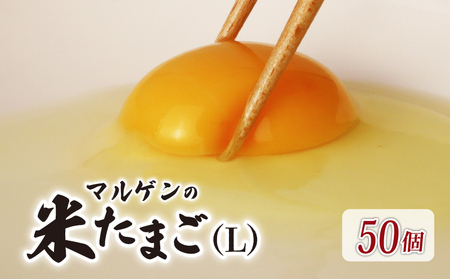 卵 マルゲンの米たまご Lサイズ 50個 卵