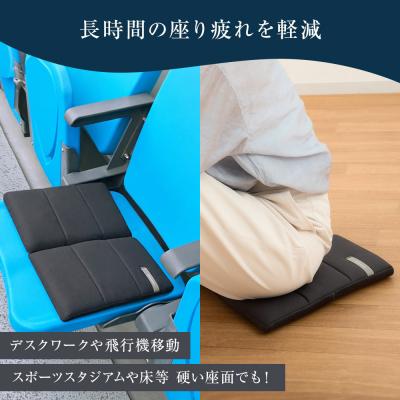 ふるさと納税 大府市 エアウィーヴ キャリークッションmini 椅子 チェア airweave エアウィーブ |  | 01