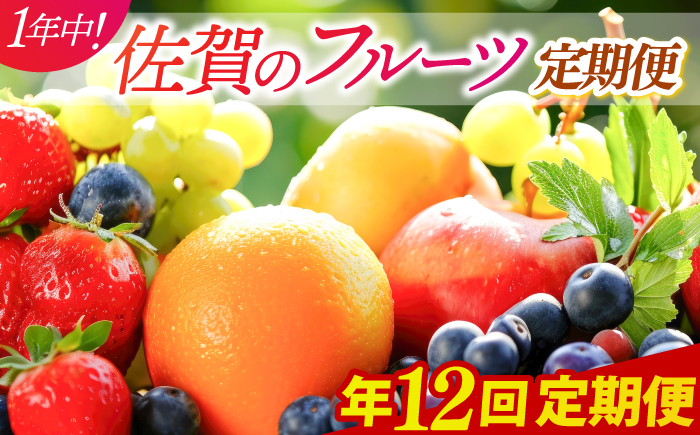 【家計お助け返礼品】【全12回定期便】佐賀のフルーツ定期便 / 果物 / 佐賀県 / 佐嘉ZEYTAKUYA [41AQAA046]