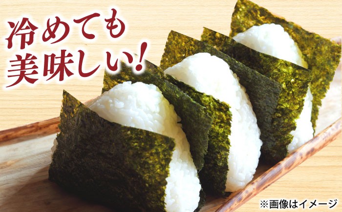 きぬむすめ 米 お米 白米 精米 ご飯 ごはん 産地直送 島根 松江 おすすめ