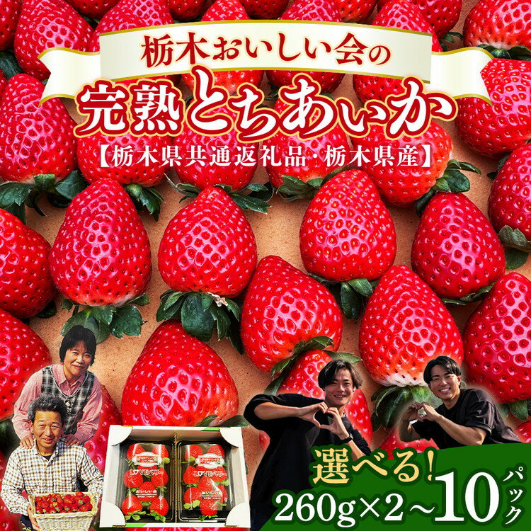 【ふるさと納税】＼選べる内容量／栃木おいしい会のいちご（とちあいか）イチゴ 苺 栃木県 果物 くだもの フルーツ スイーツ ギフト｜栃木県共通返礼品 栃木県産 ※2027年1月～発送
