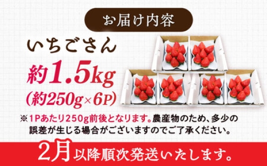 いちごさん 苺 イチゴ いちご フルーツ 果物 くだもの 濃厚 甘い 甘味 佐賀