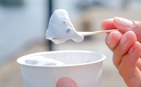 鞆の浦限定ご当地アイス《ちりめん塩アイス》(100ml×6個入り) アイスクリーム ちりめん バニラアイス デザート おやつ 広島県 福山市 F23L-863