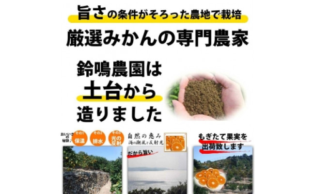 【有田川町】バレンシアオレンジ 2kg バレンシア バレンシャ 和歌山 ブランド 有田みかん ご家庭用  CE025_イメージ2