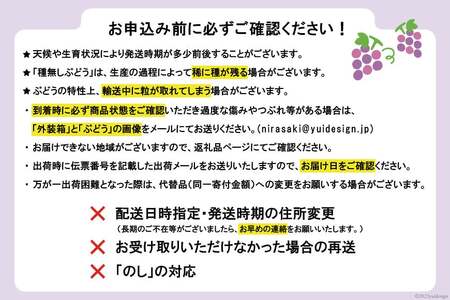 【2026年発送】ぶどう シャインマスカット 予約 約 500g 3房 計約 1.5kg