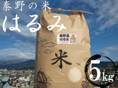 【新米 令和6年産】秦野のお米（はるみ）5kg | 神奈川県産 秦野市 大地 5kg 5キロ 米 こめ コメ お米 白米 精米 お取り寄せ 贈答 人気 ランキング ごはん ご飯 贈り物 5キロ 風味 甘い 甘み ブランド米 人気米 新米 1袋 ちょうどいい おいしい 美味しい 美味 ふっくら ツヤ 備蓄 災害対策 | 009-13