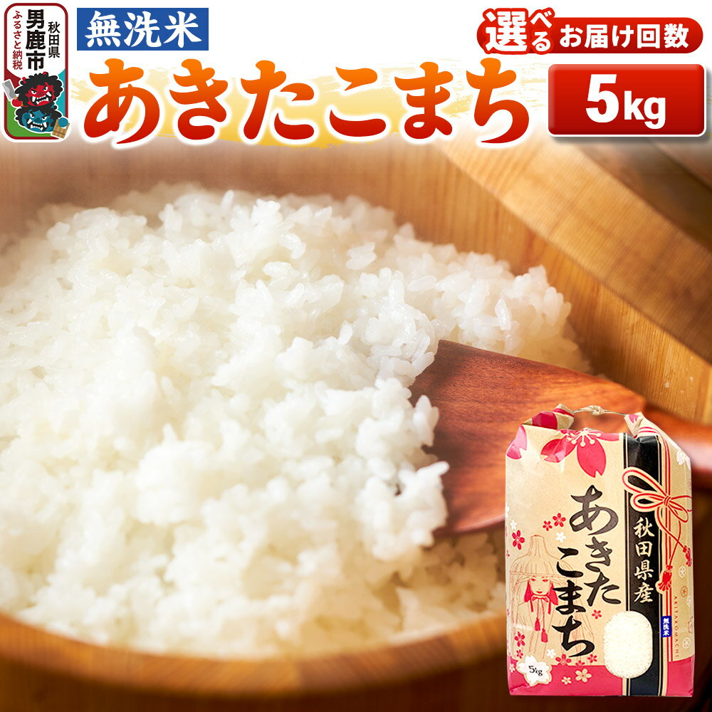 【ふるさと納税】《令和7年産》【無洗米】あきたこまち 5kg 秋田県 男鹿市 こまちライン【選べるお届け回数】 [こまちライン あきたこまち ブランド米 お米 白米 精米 無洗米 米どころ 秋田 秋田県産]