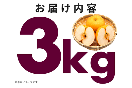 訳あり 新高 梨 3kg 柴沼梨園 BX-022