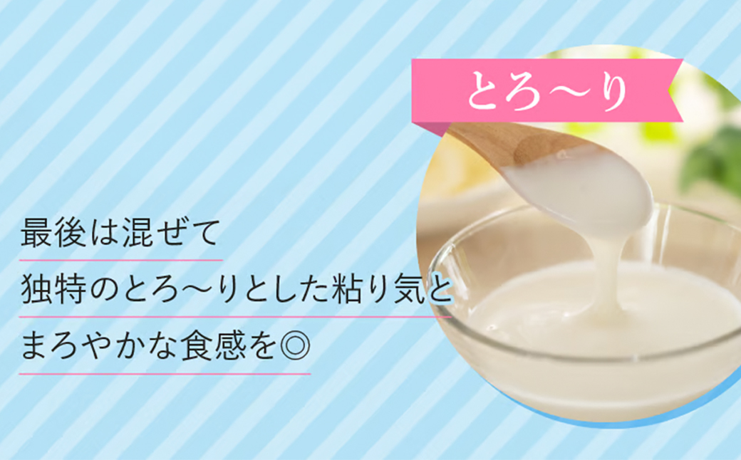 球磨の恵み ヨーグルト (加糖) 1kg×6パック 計6kg