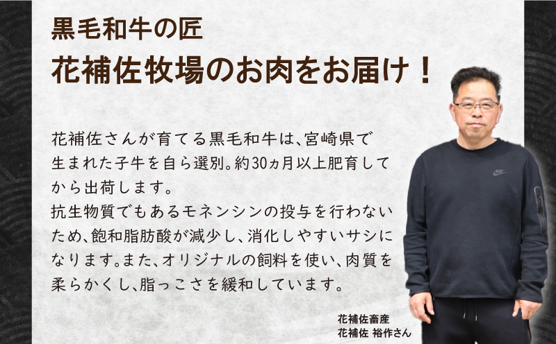 牛肉 ロース ステーキ 約500g 3枚 A5等級 阿波華牛 和牛 牛肉 ぎゅうにく 牛 ぎゅう うし 肉 ビーフ ロース ステーキ 焼肉 BBQ アウトドア キャンプ ギフト プレゼント 贈答 お取