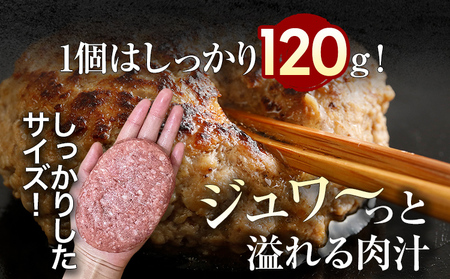 ハンバーグ 佐賀牛入り 120g 12個 生ハンバーグ