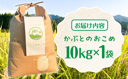 特別栽培米 かぶとのおこめ 精米 10kg　お米 白米 亀山市/かぶとの森テラス[AMAD010]