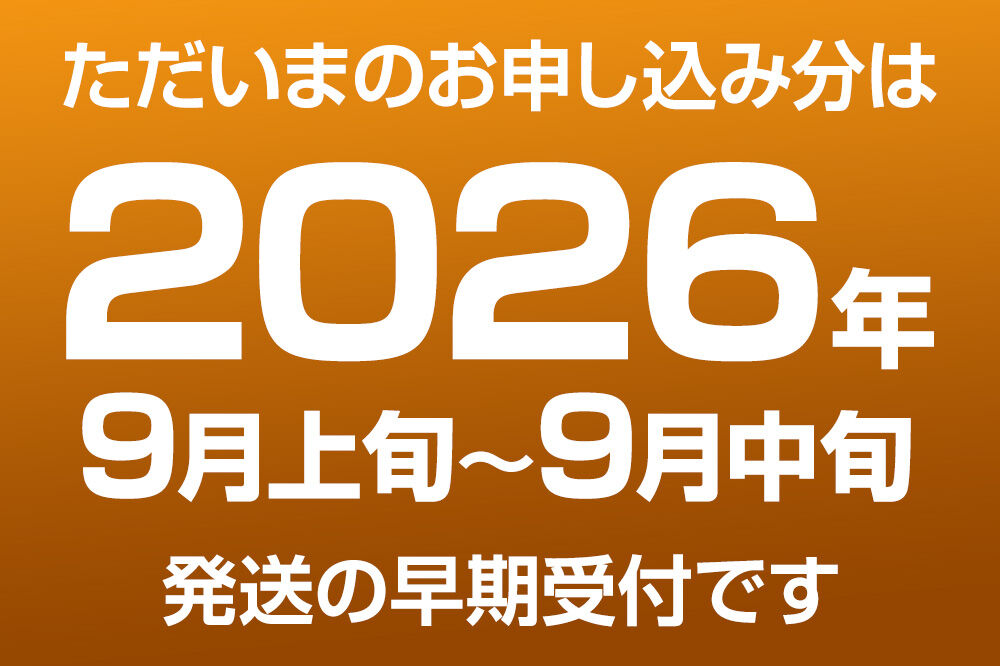 《先行受付》梨 幸水 10kg前後（3L～2L）28～32玉 秋田なまはげ農業協同組合 秋田県 男鹿市 [先行受付 なし ナシ 果物 くだもの 幸水 夏]|23_nhn-081001_イメージ4